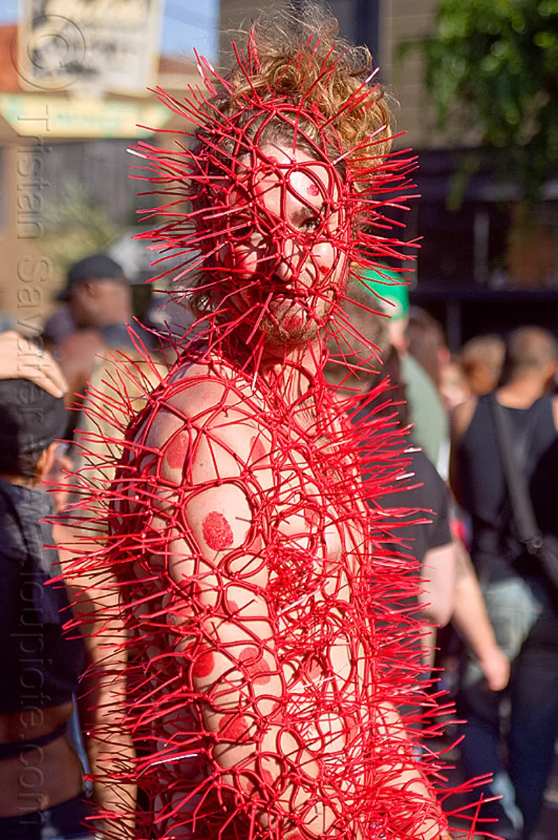 zip ties costume playa dust folsom fair moderate mesh frame