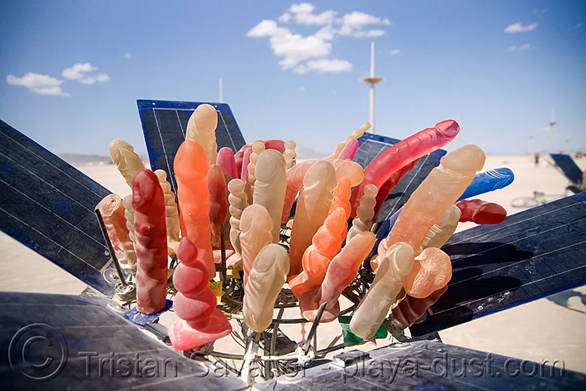 Burning Man - Dildo Flower - Garden and Grotto of Manifest Destiny, by  Sculptor Randy Polumbo